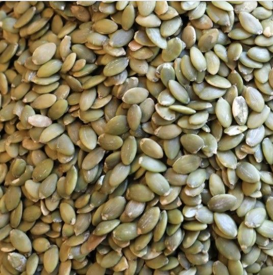 Pumpkin Seed from Israel supplied by Kol Toov - Green Pumpkin Seed