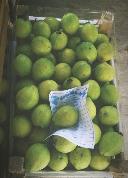 GUAVA from Mexico supplied by CORDOVA & CORDOBA - Plastic Box Fresh Guava