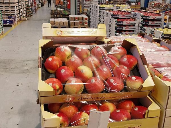 Apple from Italy supplied by Centro frutta castiglione - Whole Fresh Apple