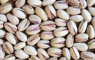 Raw Pistachios from Iran supplied by Desert Green Nuts - Persian Gulf Trad Dawn Development - Raw (=Natural) Raw Pistachio