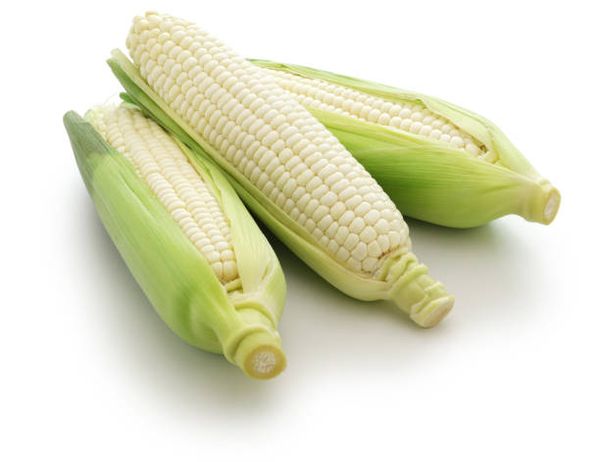 Corn from 카메룬 supplied by NDA - White Corn 옥수수