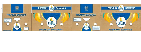 Fresh Whole Banana from Ecuador supplied by EXPORTGRID - Whole Fresh Banana