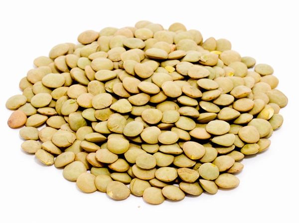 Lentil from United States supplied by Sinamco Trading Company - Large Dried Lentil