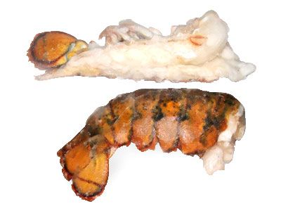 Frozen Lobster from United States supplied by Gloucester Seafood Processing, Inc. - Whole Fresh Common Lobster
