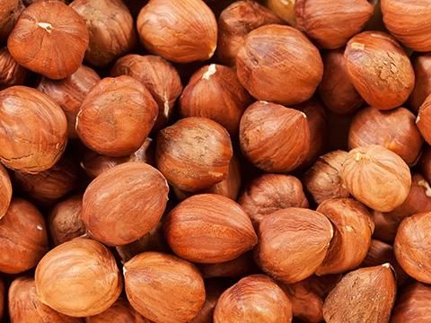 Hazelnut from 아제르바이잔 supplied by AZERSTAR LLC - Shelled (=Kernel) 헤이즐넛 알맹이