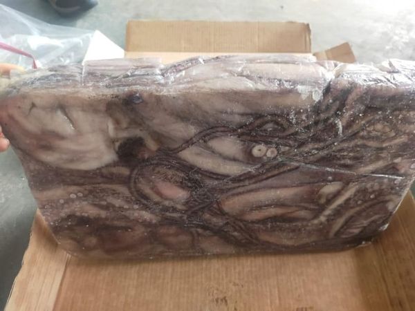 Octopus Vulgaris from 인도네시아 supplied by PT. SATYA TRINADI KOMIRA PERKASA - 2 - Up Kg 냉동 문어