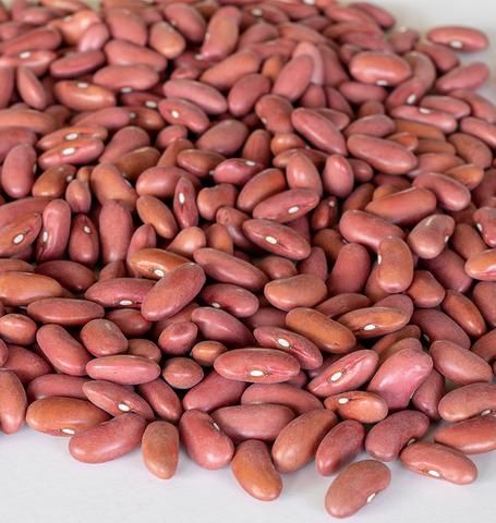 Red kidney Beans from United Arab Emirates supplied by DIVYA INDUSTRIES GRAIN PROCESSING & PACKING - Fresh (=Chilled) Cluster Beans