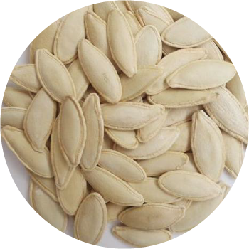 Pumpkin Seeds With Shell from 튀르키예 supplied by BİZİM ANADOLU KURUYEMİŞLERİ GIDA OTOMOTİV İNŞAAT TEKSTİL İTHALAT İHRACAT TİCARET VE SANAYİ LİMİTED ŞİRKETİ - Snow White (=SW=Snowwhite=Hundred Pounds) 호박 씨