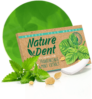 NatureDent from 이란 supplied by Masterfoodeh - 추잉껌
