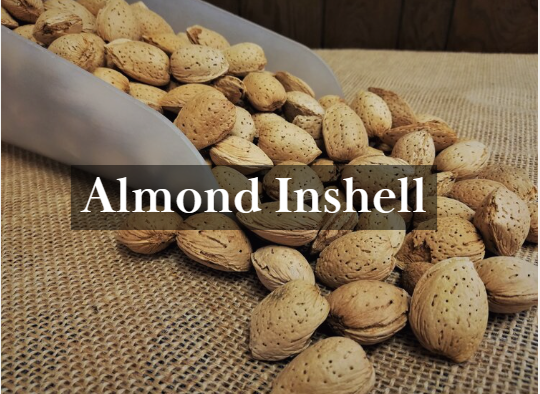 Almond from United States supplied by T. M. Duche Nut Co - Shelled (=Kernel) Almond Kernel