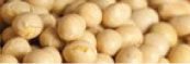 Soy from 아르헨티나 supplied by Kallpay S.A. - Raw (=Natural) 대두