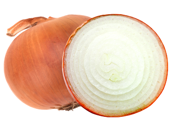Onion from Chile supplied by Exportadora Propal S.A. - Cebolla Fuentes de Ebro Fresh Onion