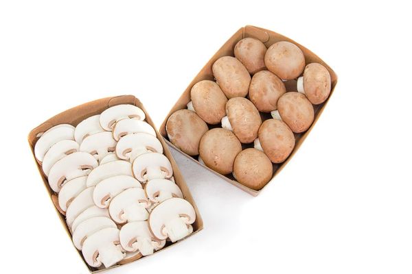 Fresh Portobello Mushroom from 스페인 supplied by Neofungi Group - Fresh (=Chilled) 포토벨로 버섯