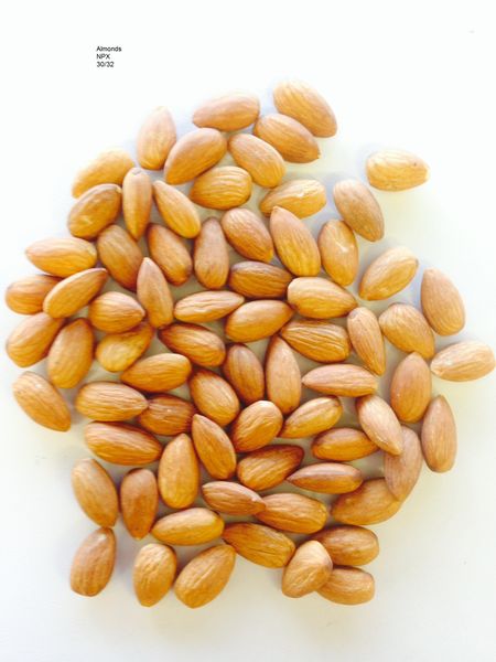 Almond from 호주 supplied by Exports of Australia Pty Ltd - In-shell 아몬드 알맹이