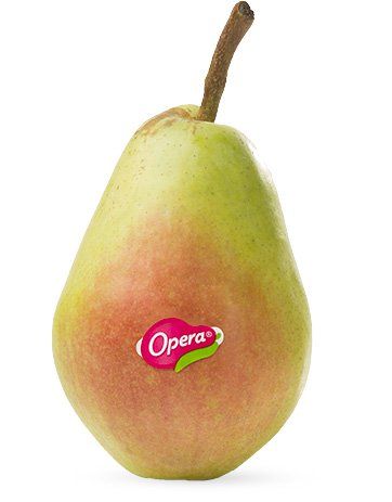 Santa Maria Peach from 이탈리아 supplied by Opera - Green Skin Color 신선 복숭아