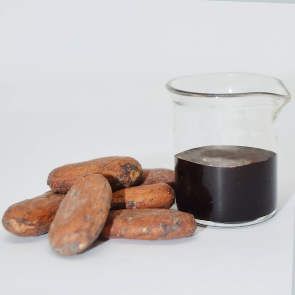 Cocoa Extract - Van Aroma (CC-0201) from 인도네시아 supplied by Van Aroma - High Quality 코코아페이스트