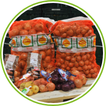 Fresh Onion from 독일 supplied by GROKA & Uetzer Zwiebel - Sweet Varieties 신선 양파