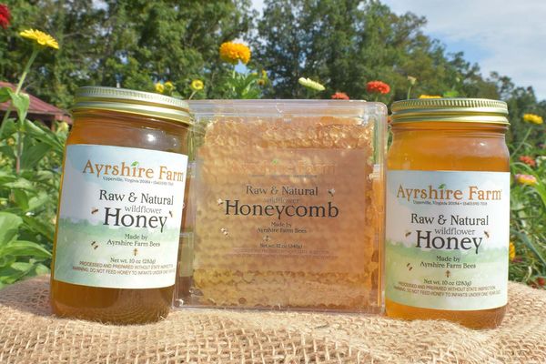 Raw Honey from 미국 supplied by Ayrshire Farm - Raw (=Natural Honey) 꿀