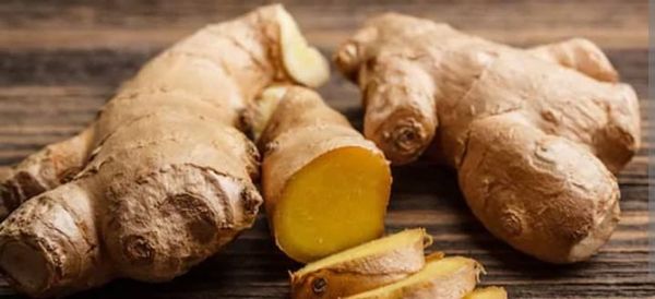 Fresh Ginger from Kenya supplied by Mina logistics services LLC - Whole Ginger