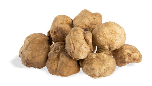 Truffle from 이탈리아 supplied by TARTUFI JIMMY S.R.L - White 트러플