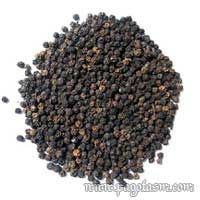 Black Pepper from Indonesia supplied by CV. Pagota Sukses Makmur - Indonesia Whole Black Peppercorn