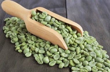 Green Coffee Beans from 인도 supplied by Mudremane Coffee & Spices - Medium (SNI: d. 6.5-7.5 mm - Sieve No. 16) 생원두
