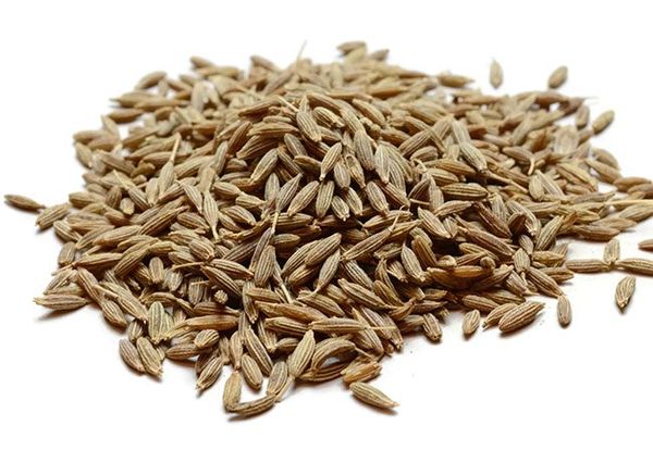 Cumin Seed from 이집트 supplied by Mediterraneo - Unspecified 커민 씨