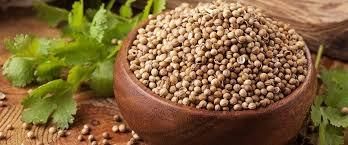 Coriander Seeds from 인도 supplied by Parth Agro World - Machine Cleaned 고수 씨(홀)