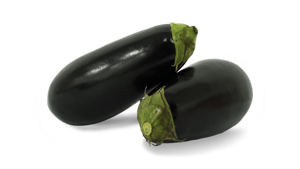 Eggplant from 미국 supplied by Marengo Foods - Globe Eggplant (=American Eggplant) 가지