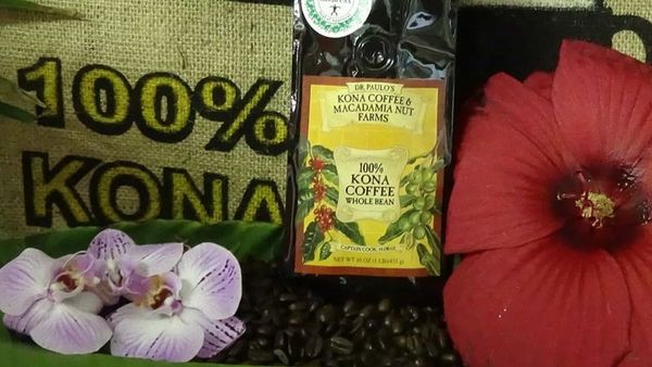 Coffee Beans from 미국 supplied by mac's nut company of hawaii - Dark Brown 생원두