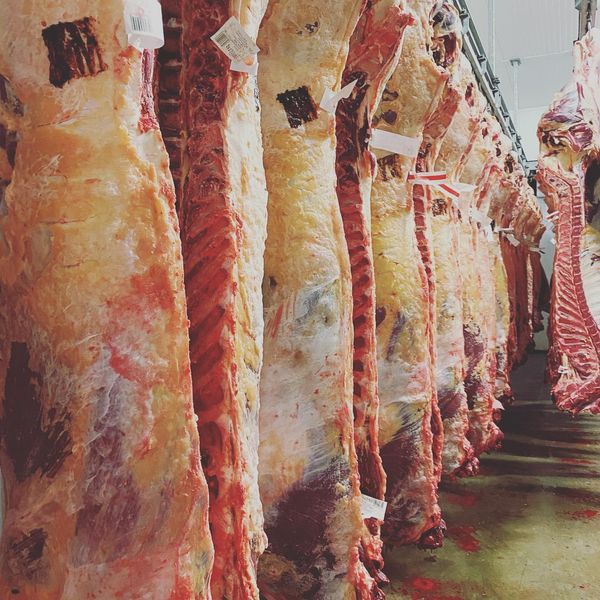 Fresh Beef from 아일랜드 supplied by Troy’s Abattoir - Cuts 신선 미절단 소고기