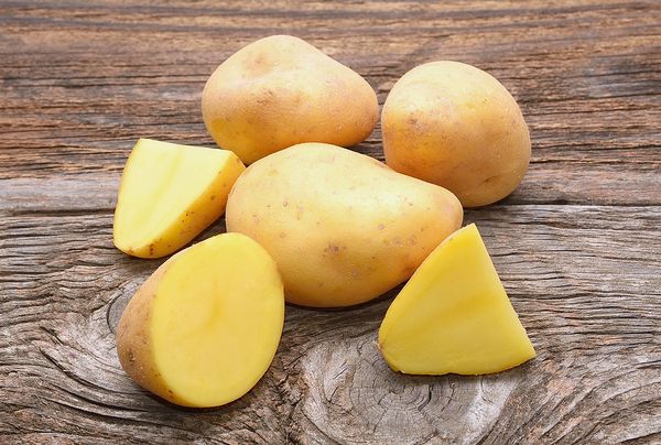 Fresh Potato from 독일 supplied by Pfälzer Grumbeere - 갈색 신선 일반 감자