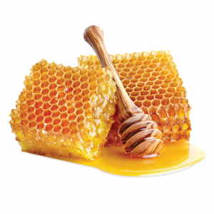 Honey from Lebanon supplied by Dirani Group - Wild Thyme (=Breckland Thyme=Creeping Thyme) Honey