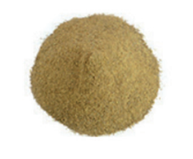 Apple Peel Powder from Chile supplied by SURFRUT - Powder Value Added Apple