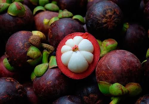 Fresh Mangosteen from 인도네시아 supplied by PT. Agro Eksotis Lestari - Unspecified 신선 망고스틴