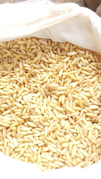 Pine Nuts from 파키스탄 supplied by AARUN Enterprises (Private) Limited - Mediterranean Pine Nut (=Pinus pinea) 잣