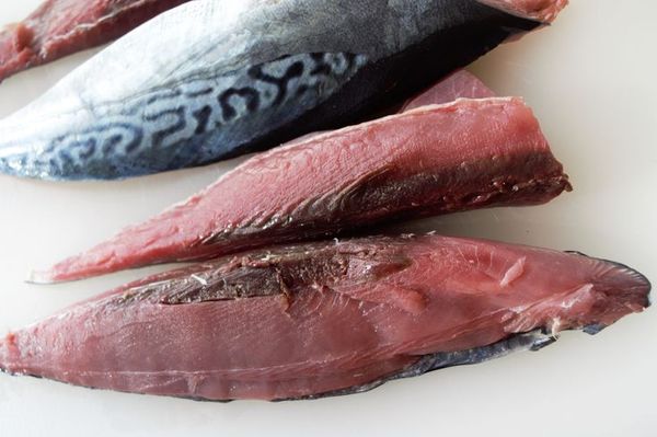 Fresh Tuna Fish from Iran supplied by Simin Faravar - Fresh (=Chilled=Raw) Tuna