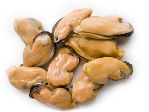 Mussel Meat from Turkiye supplied by Misya Su Ürünleri  A.Ş. - Farmed (=Captive Bred=Cultured) Fresh Mussel