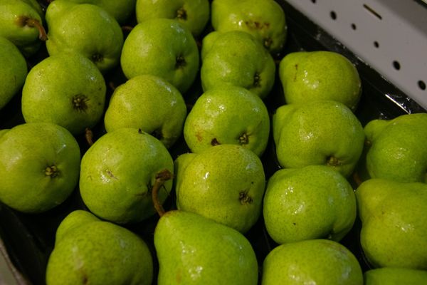 Fresh Pears from 칠레 supplied by EXPORTADORA GEOFRUT LTDA. - Fresh (=Chilled) 신선 배
