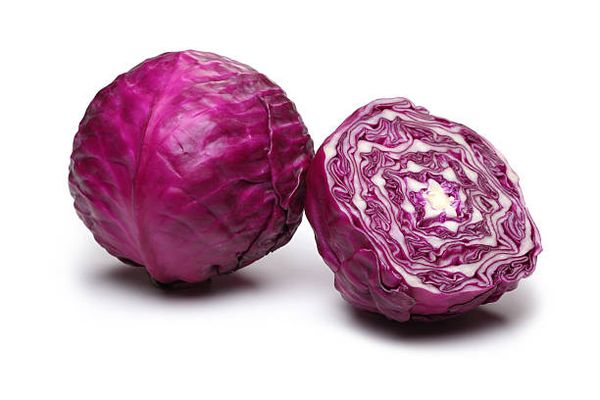 Fresh Red Cabbage from 독일 supplied by Uhrbach Gemüsinis - 적양배추 신선 양배추