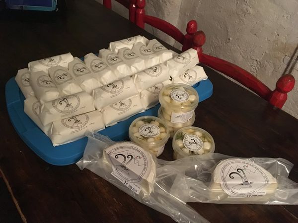 Goat Cheese from 스위스 supplied by Marachiei Agricultural Company - Fresh 기타 치즈