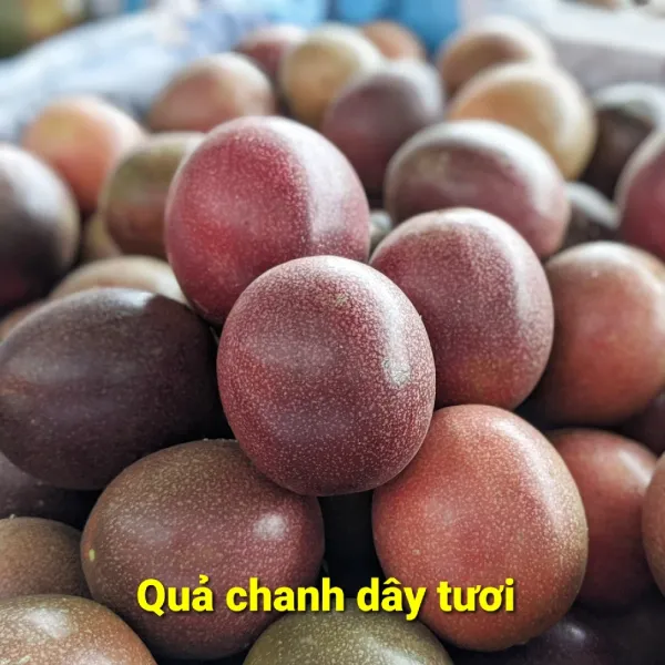 Fresh Passionfruit from 베트남 supplied by Truong Hoang Lam Dong Trading and Service Co., Ltd - Purple 신선 패션프루트