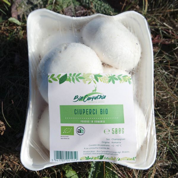 Organic Fresh Whole Champignon Mushroom from Romania supplied by Bio Carpathia Cooperativa Agricola - Fresh (=Chilled) Fresh White Mushroom