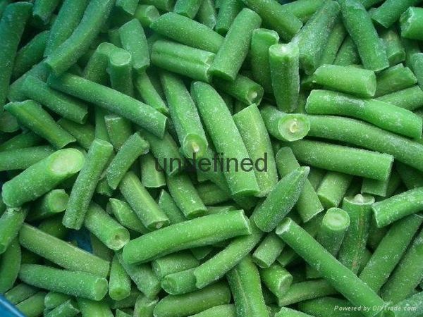 IQF Green Beans cut from 중국 supplied by LAIYANG HONGRI FOODSTUFF CO.,LTD. - 원물 말린 일반 콩
