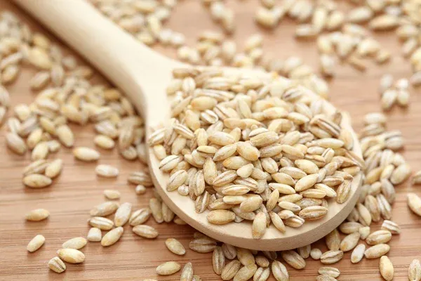 Barley from 헝가리 supplied by Dunagabona Ltd. - Whole 보리
