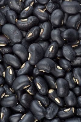 Beans from 캐나다 supplied by Mehsom Corp - White Kidney Bean 말린 일반 콩