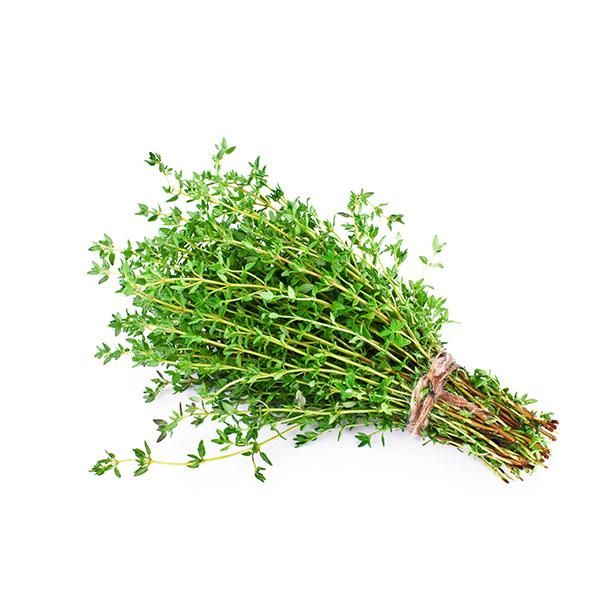 Thyme from Israel supplied by Reut Fruits and Vegetables - Unspecified Thyme