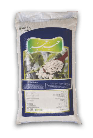 Common Bean from Egypt supplied by Mufaddal for Food Industries - Kidney Bean Dried Common Bean