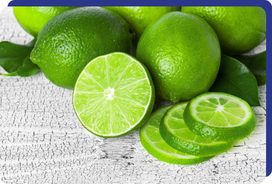 Fresh Whole Lime from 콜롬비아 supplied by The Colombian Factory - Carton Box (=Cardboard Box) 신선 라임