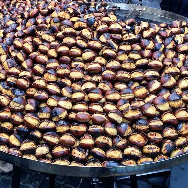 Chestnut Kernels from Italy supplied by Mastrogregori Aldo & C. S.a.s. - In-shell Chestnut Kernel